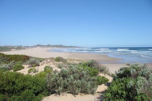 Oyster Bay Lodge (2)